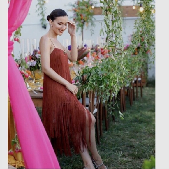 Zara Fringed Dress NWT - Picture 16 of 16